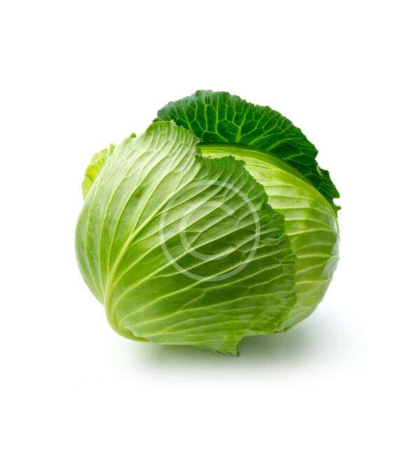 Onion - Görsel 2