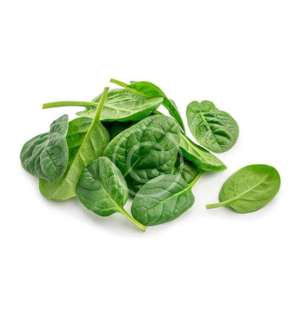 Bok Choy - Görsel 2