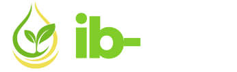 İB-BOR