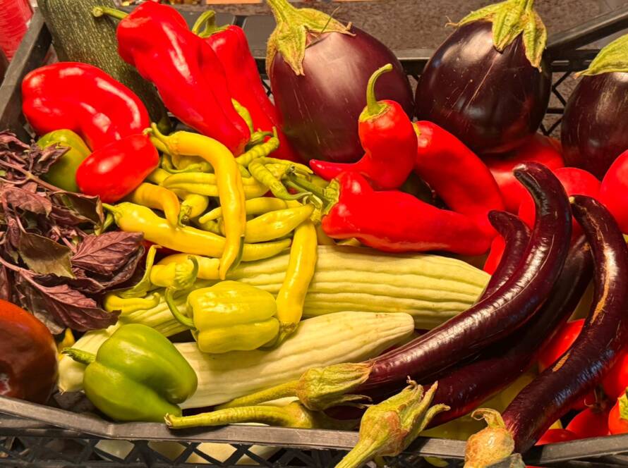 makaron çiftliği dikili