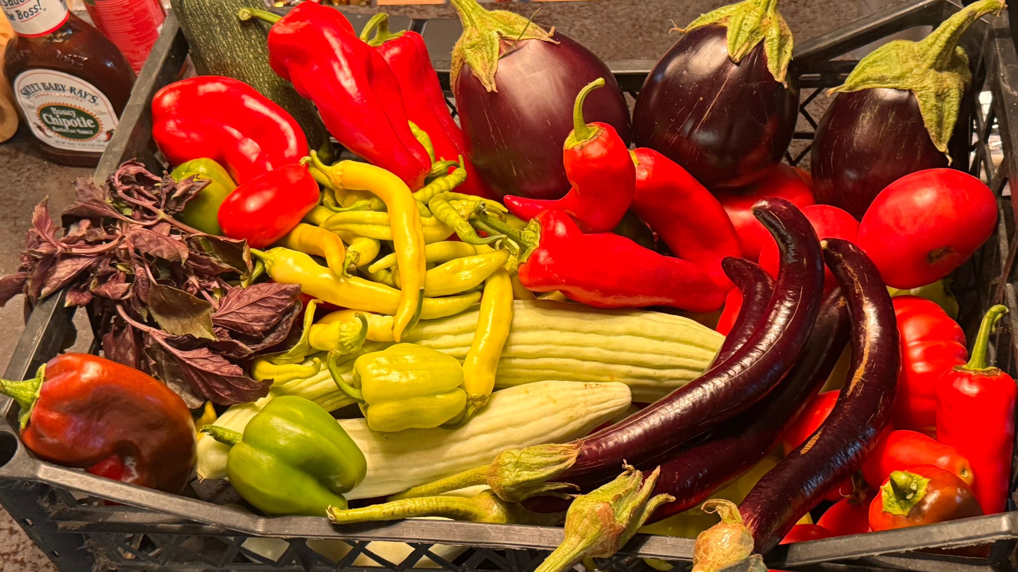 makaron çiftliği dikili