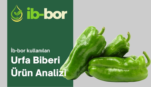 ib-bor urfa biberi hasat analizleri
