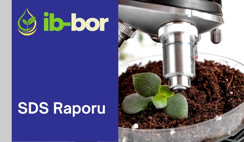 SDS-raporu