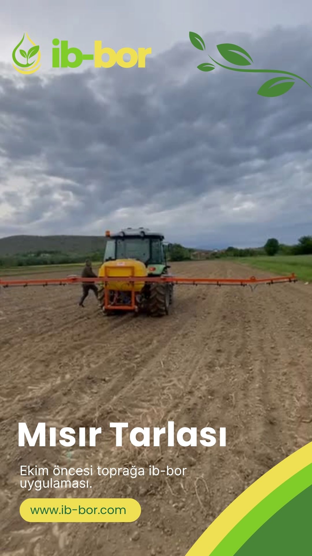 ib-bor Mısır Tarlası